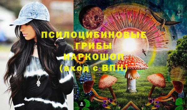 крисы Киренск