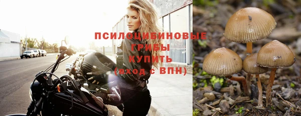 ALPHA PVP Карпинск