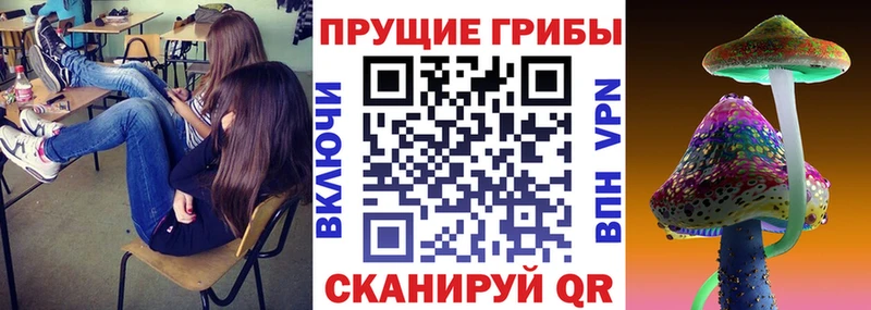 Галлюциногенные грибы Cubensis  Купить закладки  Кемь 